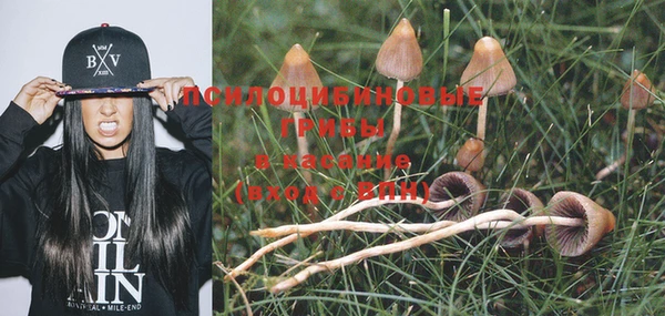 не бодяженный Белоозёрский