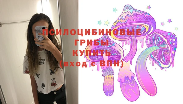 дурь Приозерск